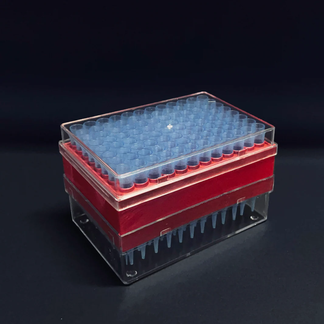 Puntali in Rack di tipo Gilson Blu