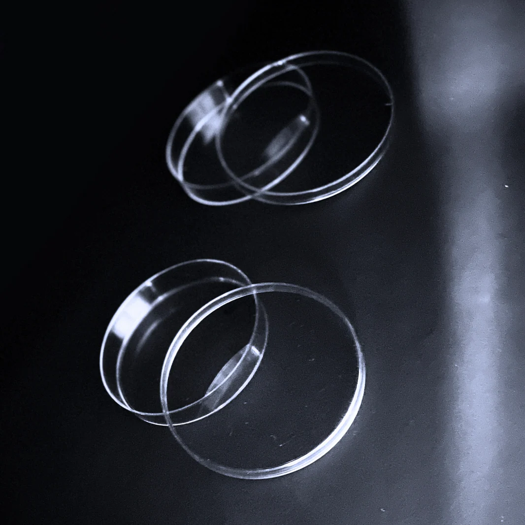 Piastre Petri Ø90 mm senza ventilazione (senza tacche)